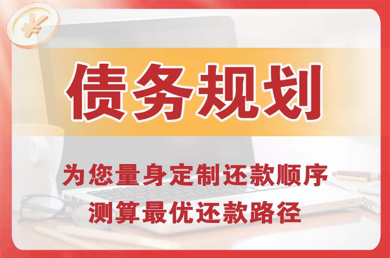井冈山债务规划